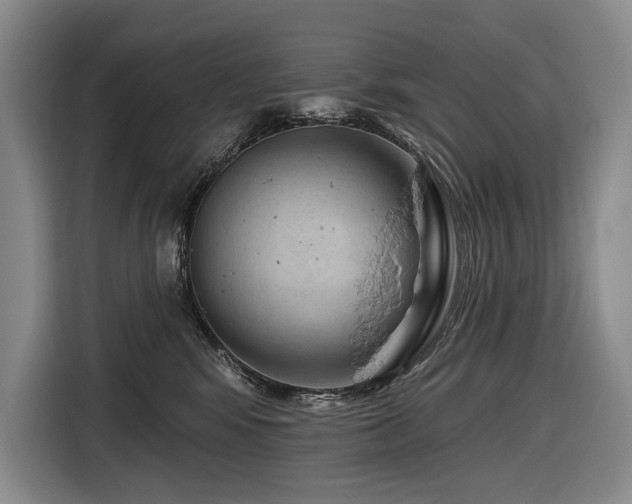 X0000116870424200912221409