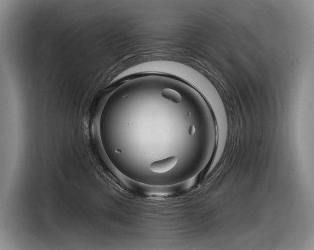 X0000116870425200912221409