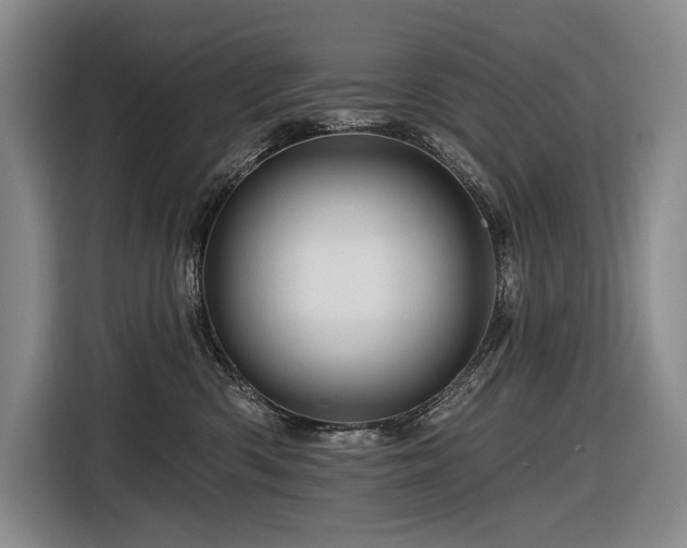 X0000116870426200912221409