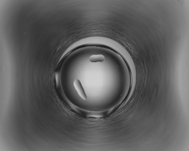 X0000116870427200912221409