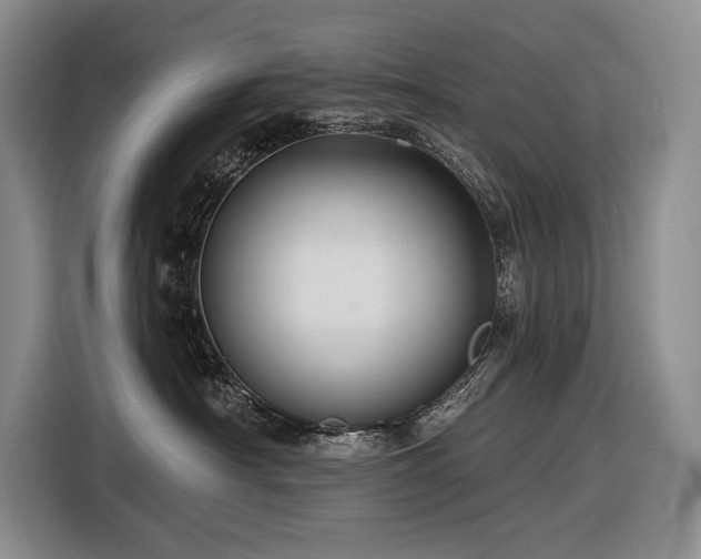 X0000116870430200912221409