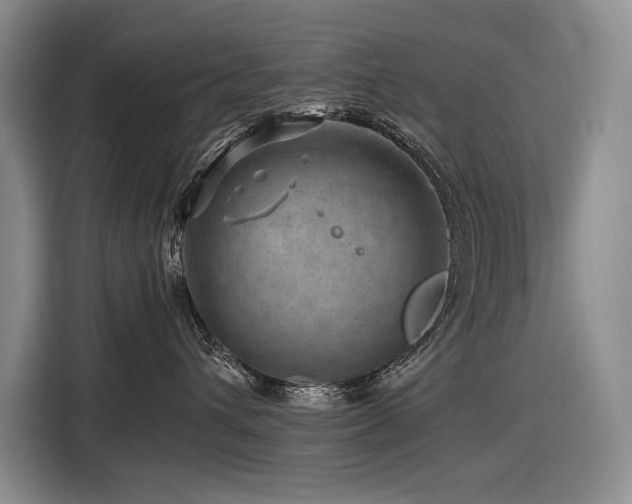 X0000116870432200912221409
