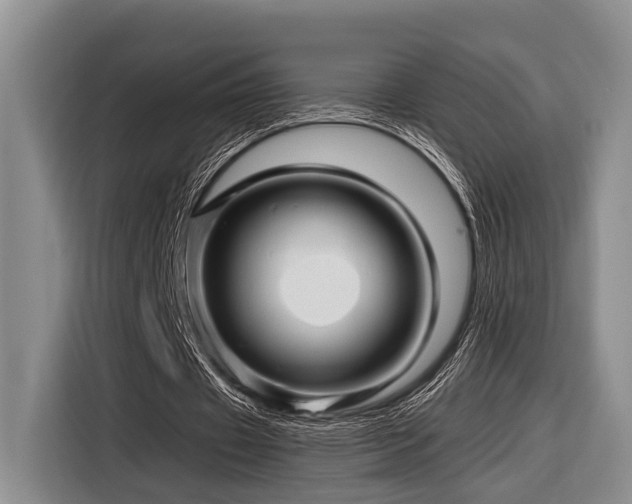 X0000116870433200912221409