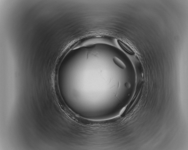 X0000116870434200912221409