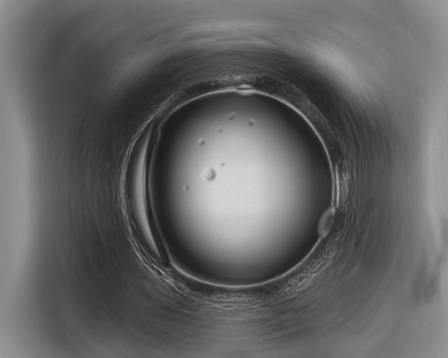 X0000116870435200912221409