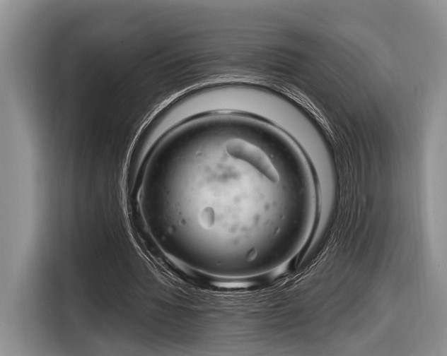 X0000116870436200912221409