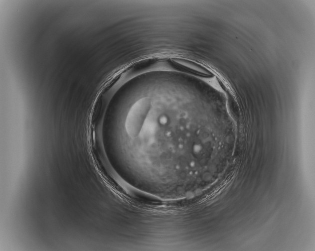 X0000116870437200912221409