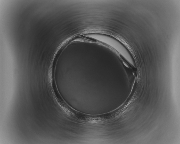 X0000116870438200912221409