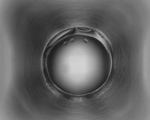 X0000116870439200912221409
