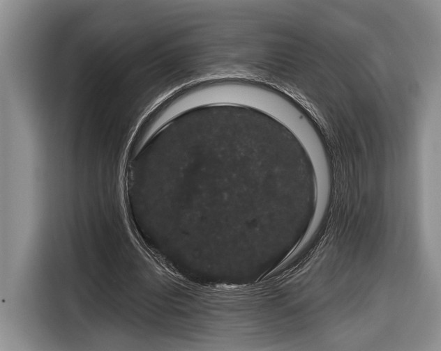 X0000116870440200912221409