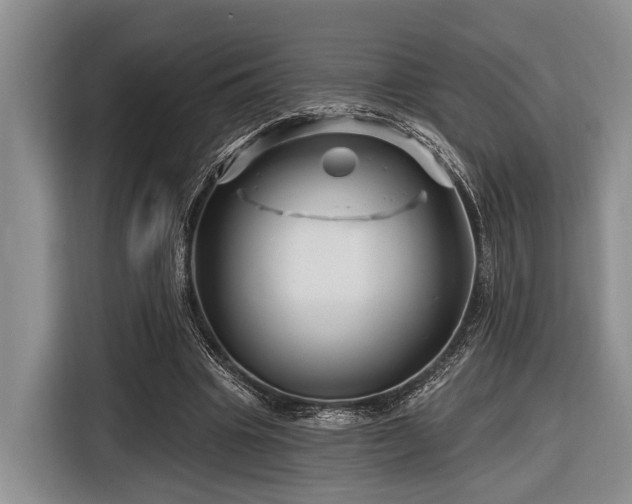 X0000116870441200912221409