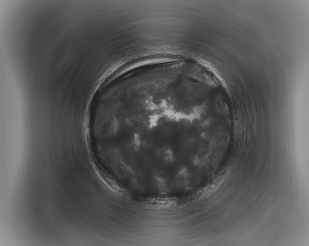 X0000116870443200912221409