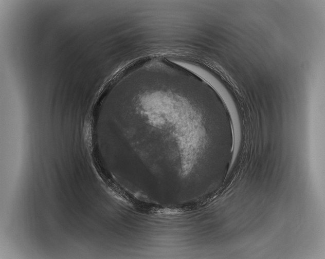 X0000116870444200912221409