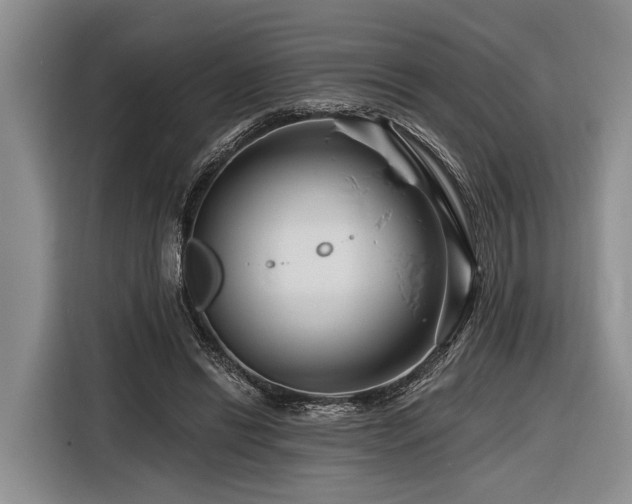 X0000116870446200912221409