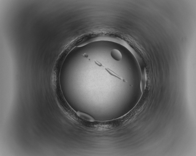 X0000116870448200912221409