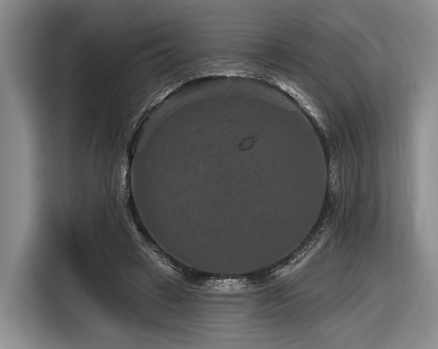X0000116870449200912221409