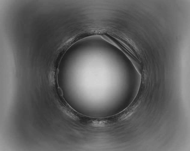 X0000116870450200912221409