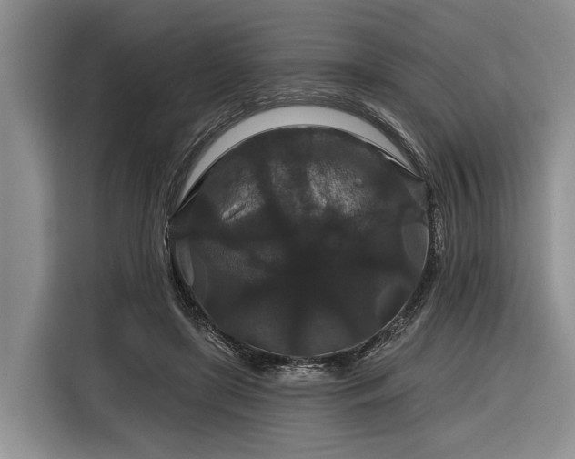 X0000116870451200912221409