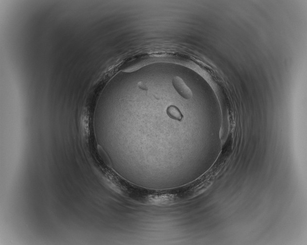 X0000116870452200912221409