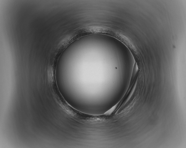 X0000116870453200912221409