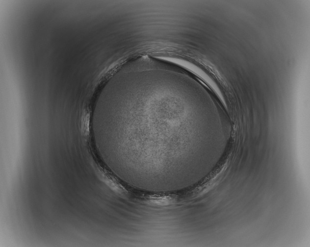 X0000116870454200912221409