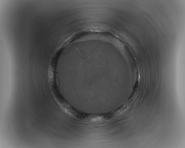 X0000116870456200912221409