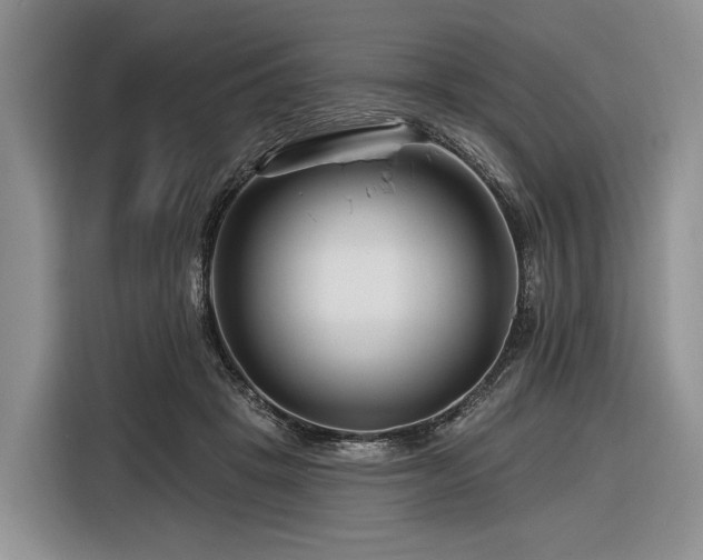 X0000116870457200912221409