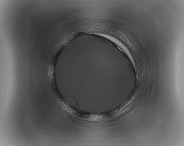 X0000116870458200912221409