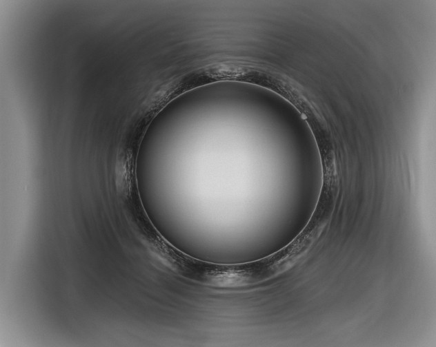 X0000116870460200912221409