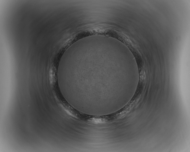 X0000116870464200912221409