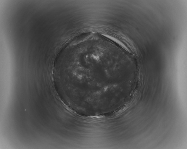 X0000116870465200912221409