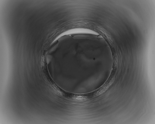 X0000116870467200912221409