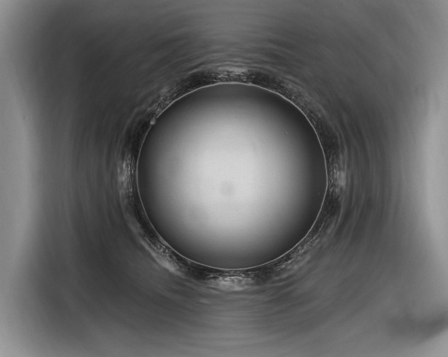 X0000116870468200912221409