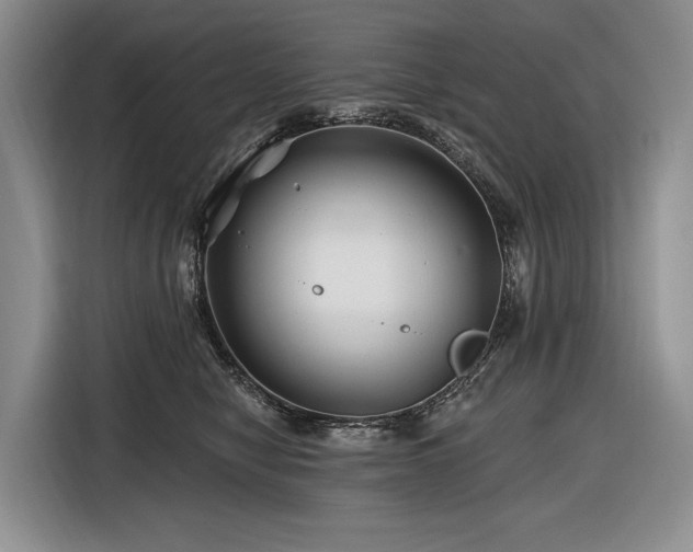 X0000116870470200912221409