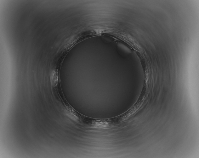 X0000116870471200912221409