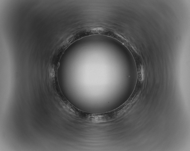 X0000116870472200912221409