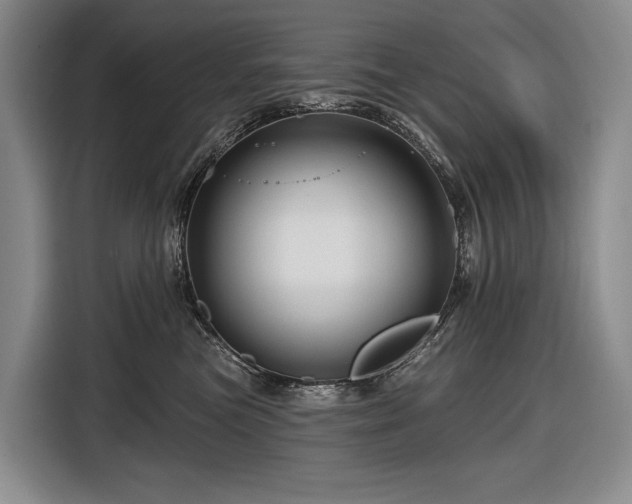 X0000116870473200912221409