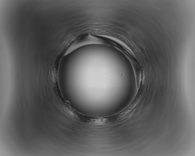 X0000116870474200912221409