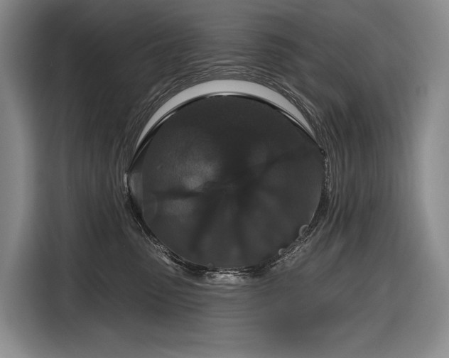 X0000116870475200912221409