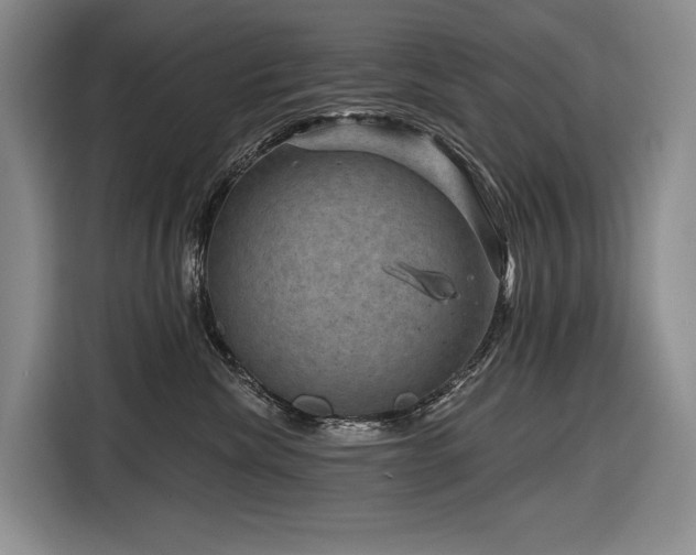 X0000116870476200912221409