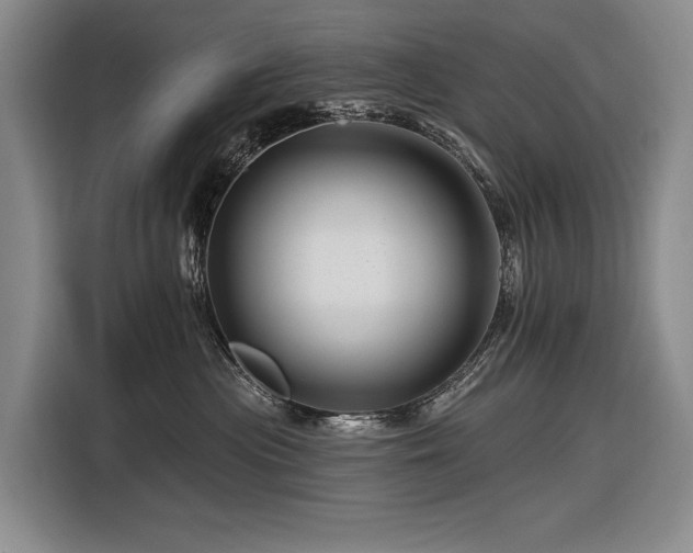 X0000116870477200912221409