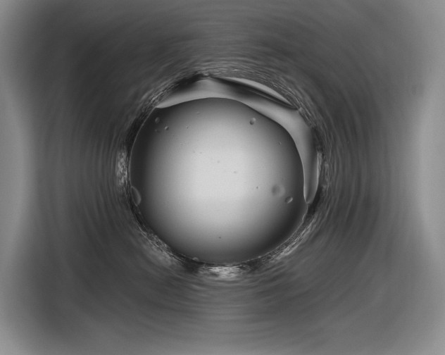 X0000116870478200912221409
