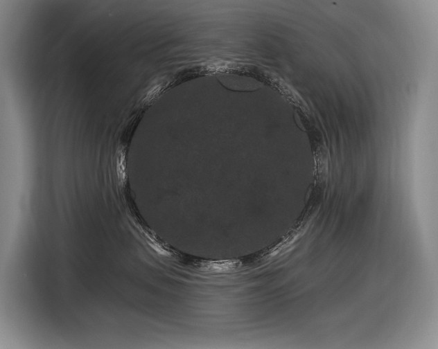 X0000116870479200912221409