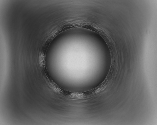 X0000116870480200912221409
