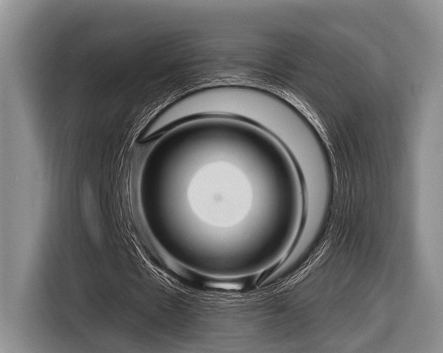 X0000116870481200912221409