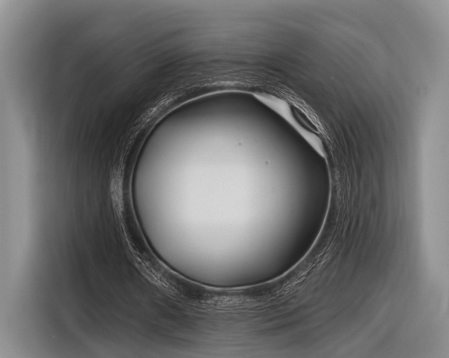 X0000116870482200912221409