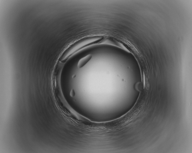 X0000116870483200912221409