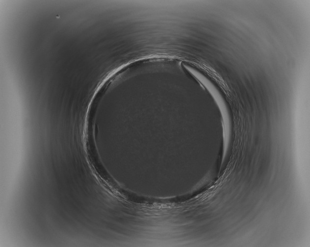 X0000116870484200912221409