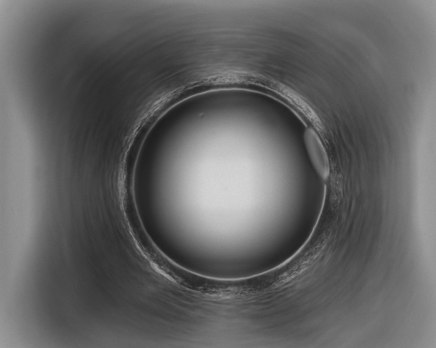X0000116870485200912221409