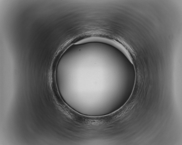 X0000116870486200912221409